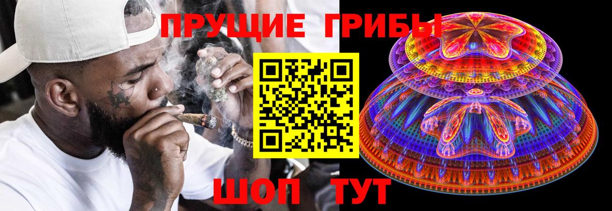 Гурьевск  Псилоцибиновые грибы мухоморы  Вход с VPN  Псилоцибиновые грибы MAGIC MUSHROOMS 